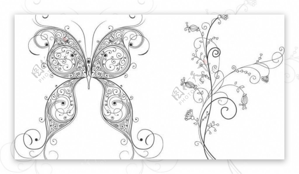 欧式华丽蝴蝶线条花纹图片