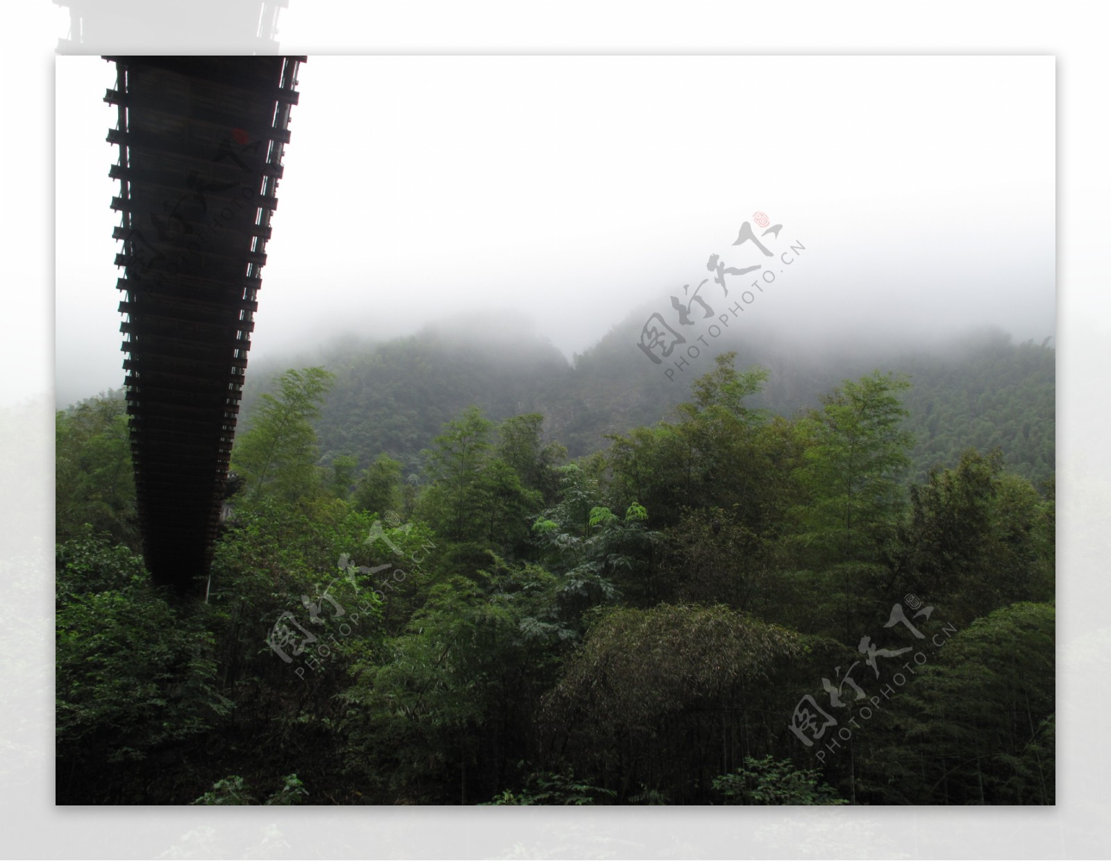 吊桥飞跃竹海图片