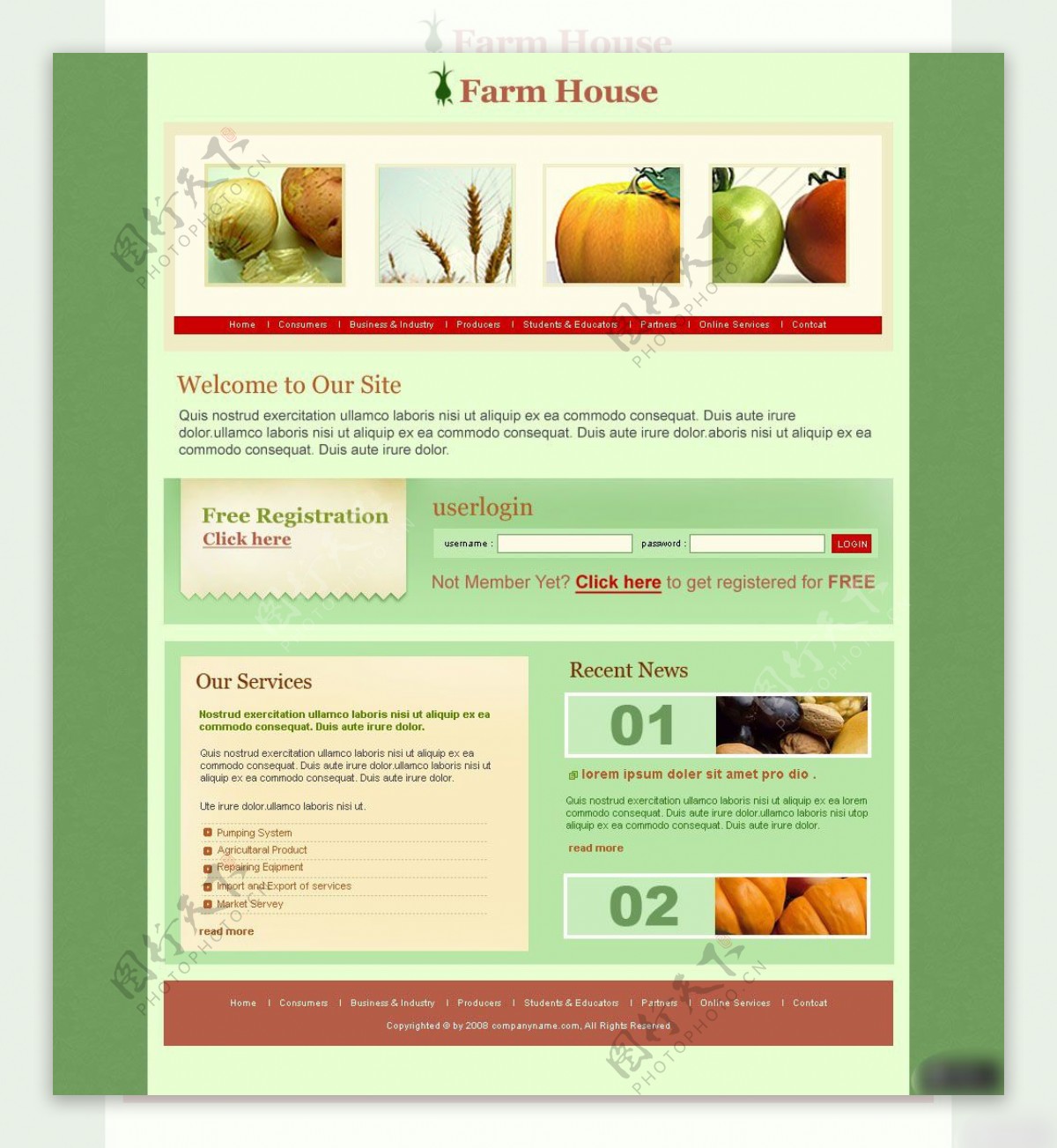 蔬菜销售类网页设计