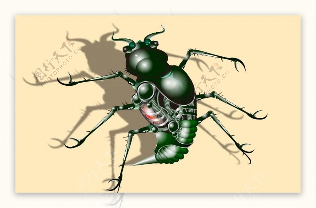 机械甲虫图片