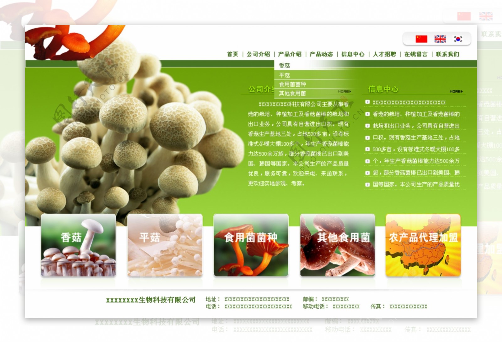 菇菌生物科技公司网页模板