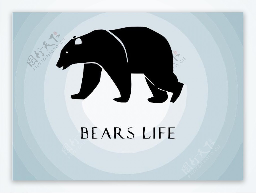 棕熊logo图片