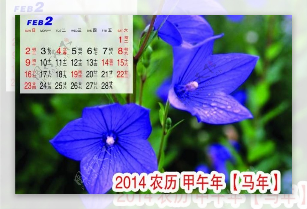 2014年月历2月图片