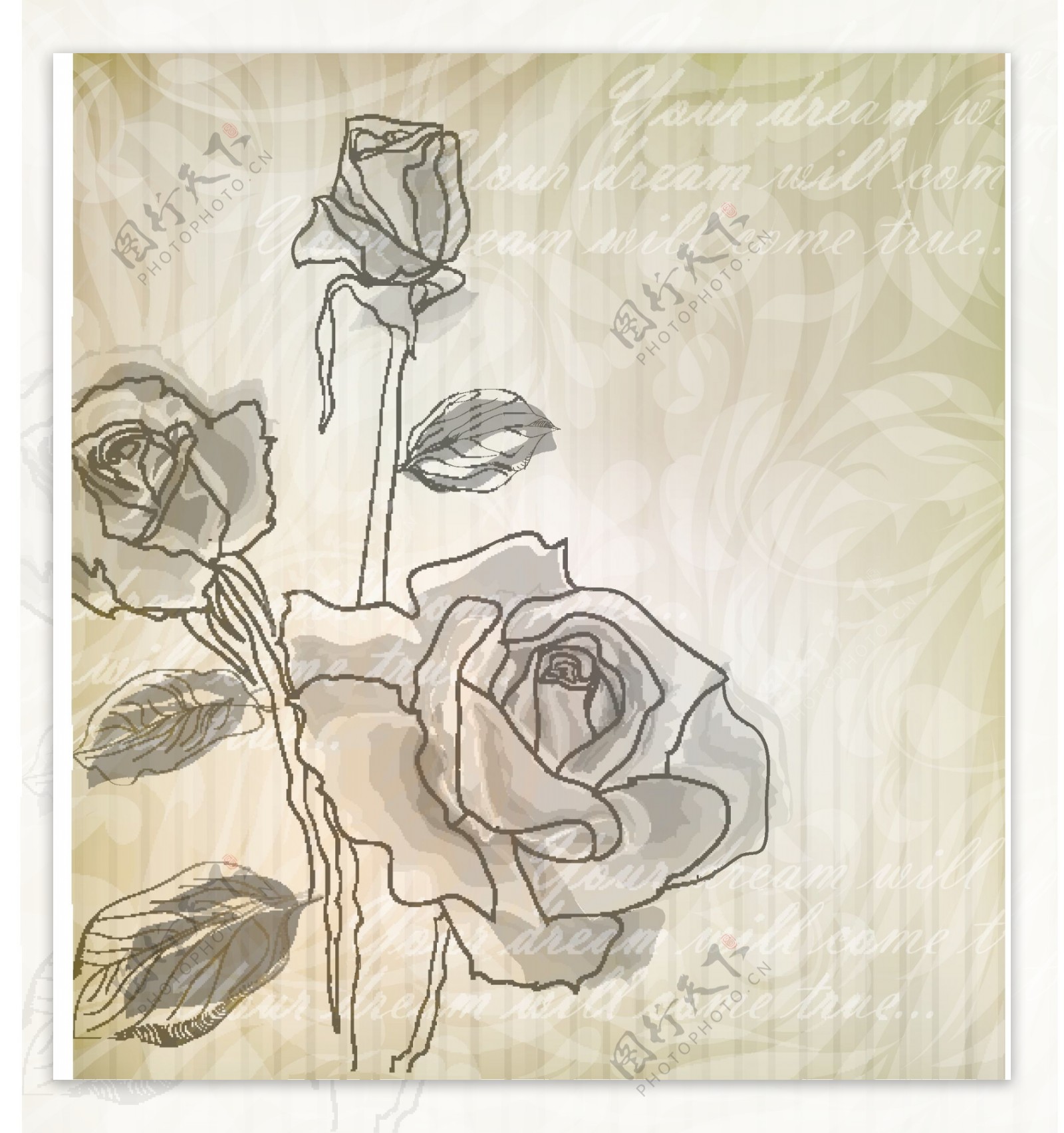 优雅的玫瑰图案背景矢量素材04典雅的图案背景
