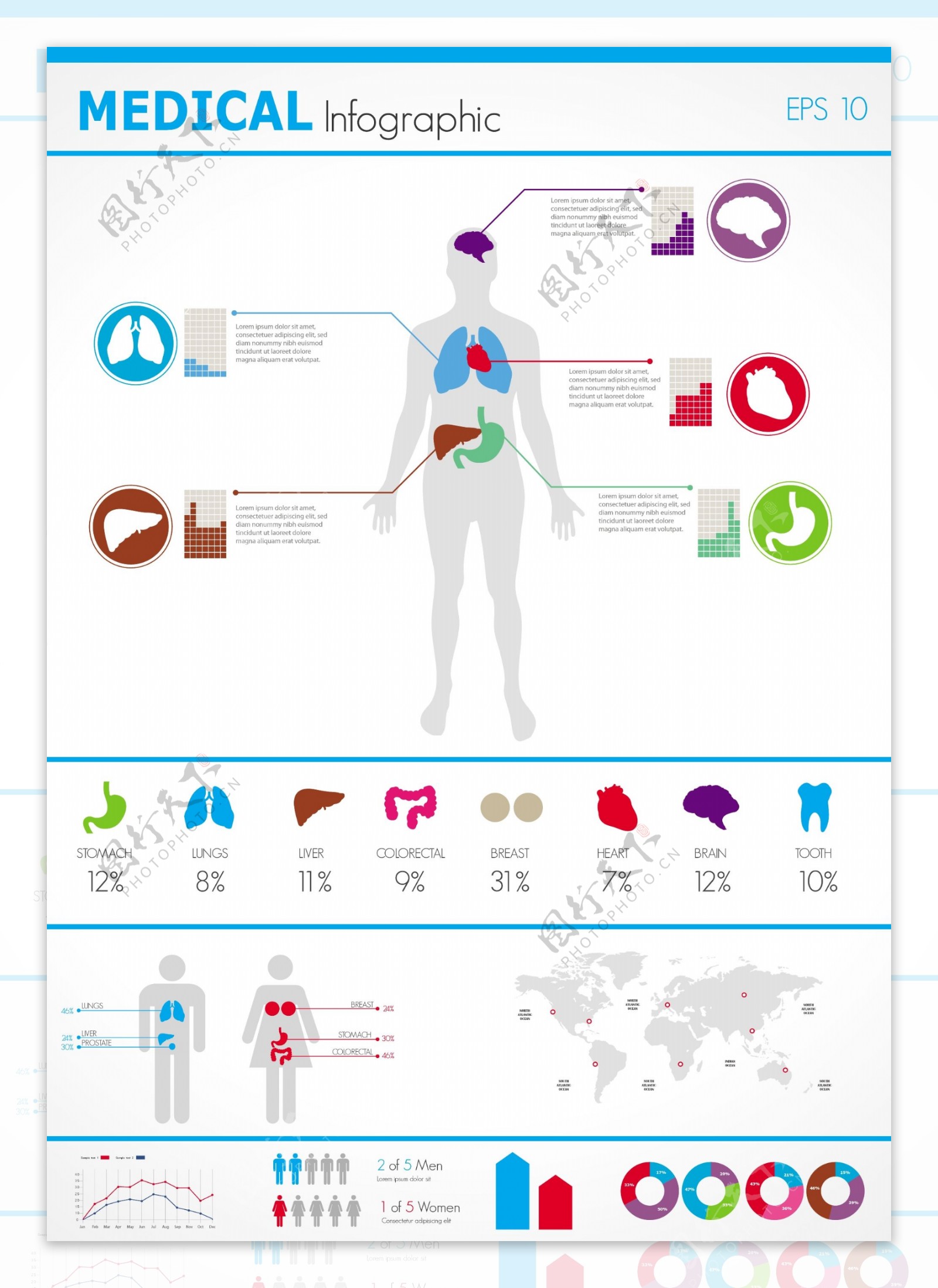 人体构造医学图表