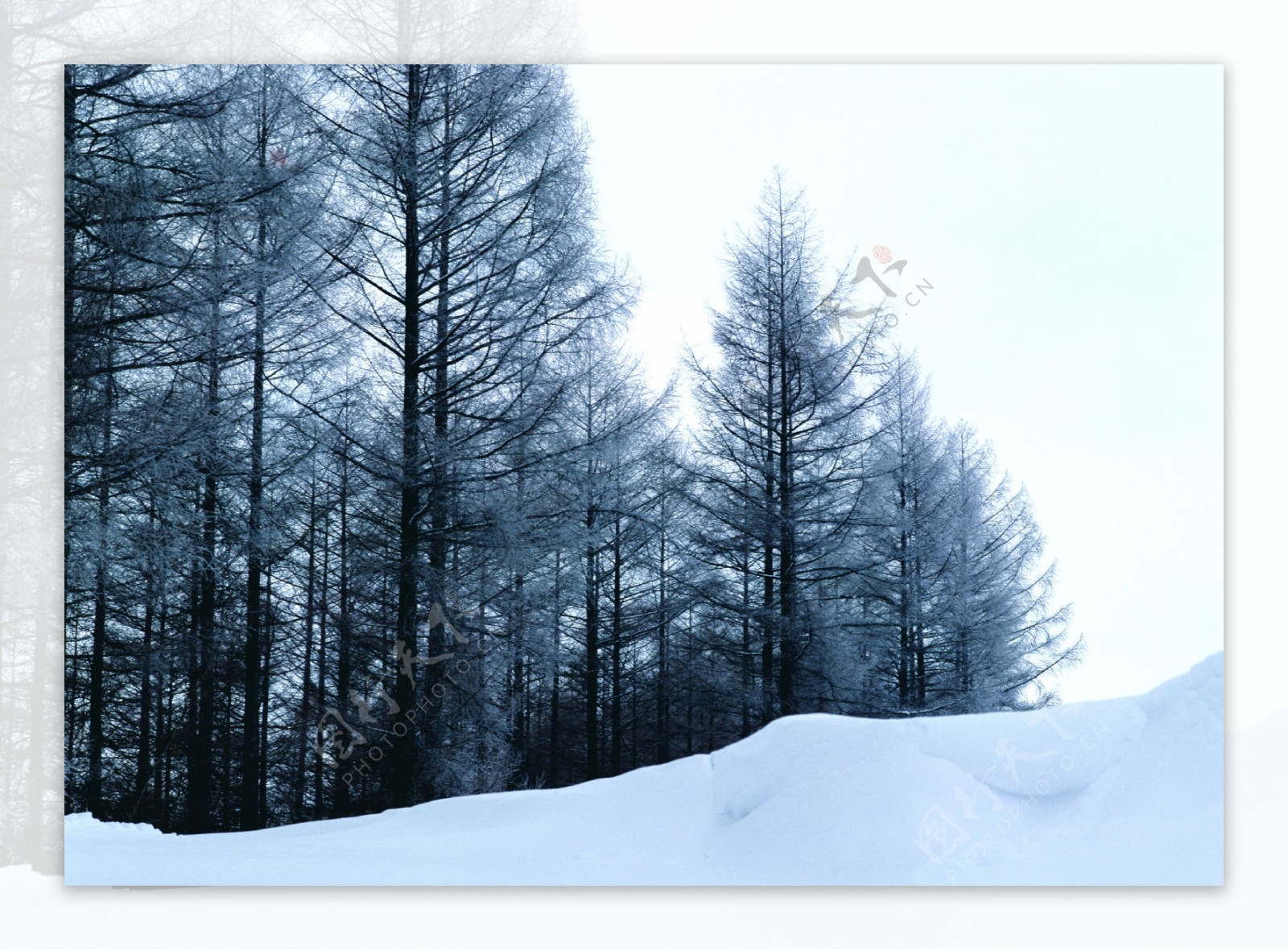 冰雪景象