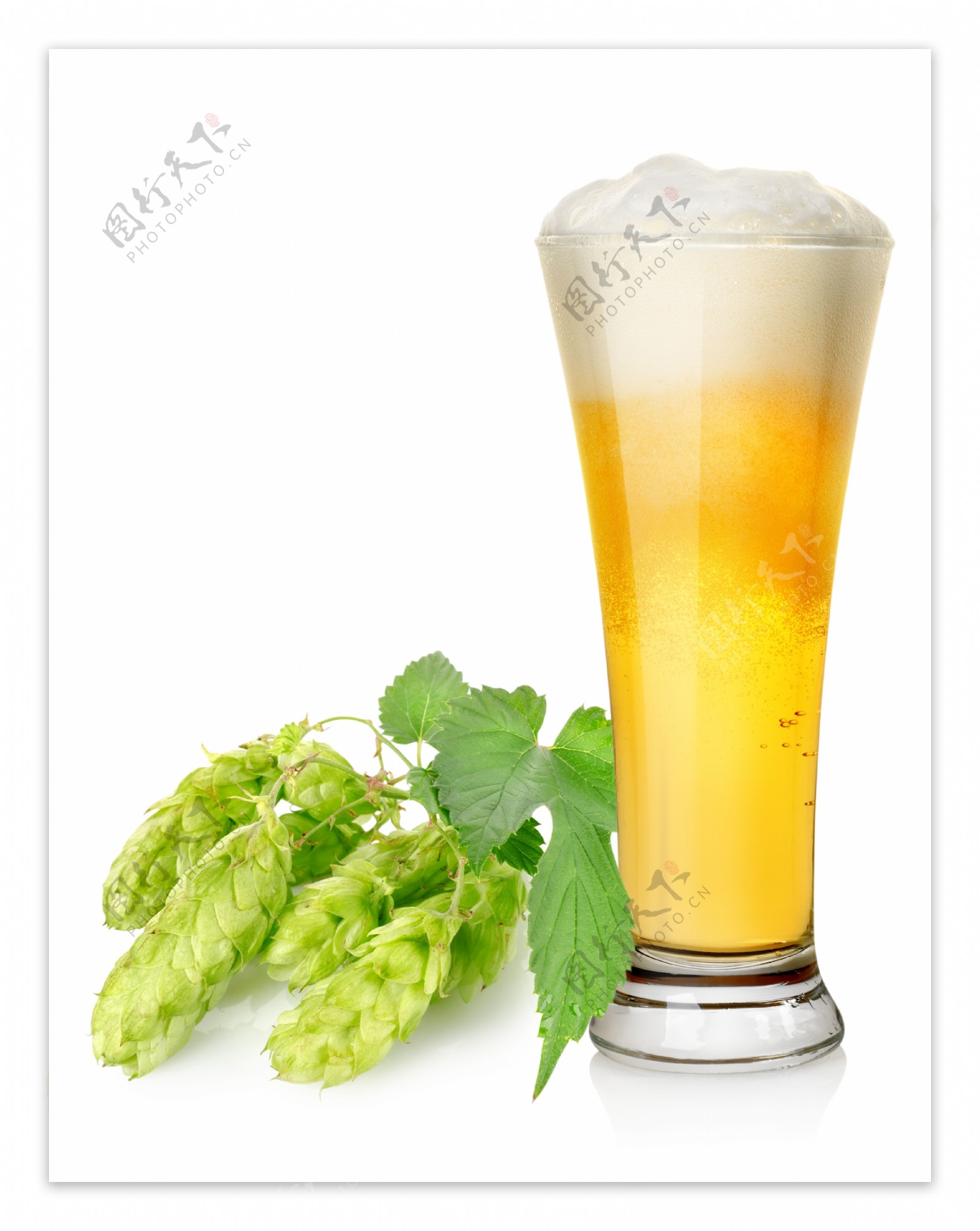 啤酒啤酒花图片