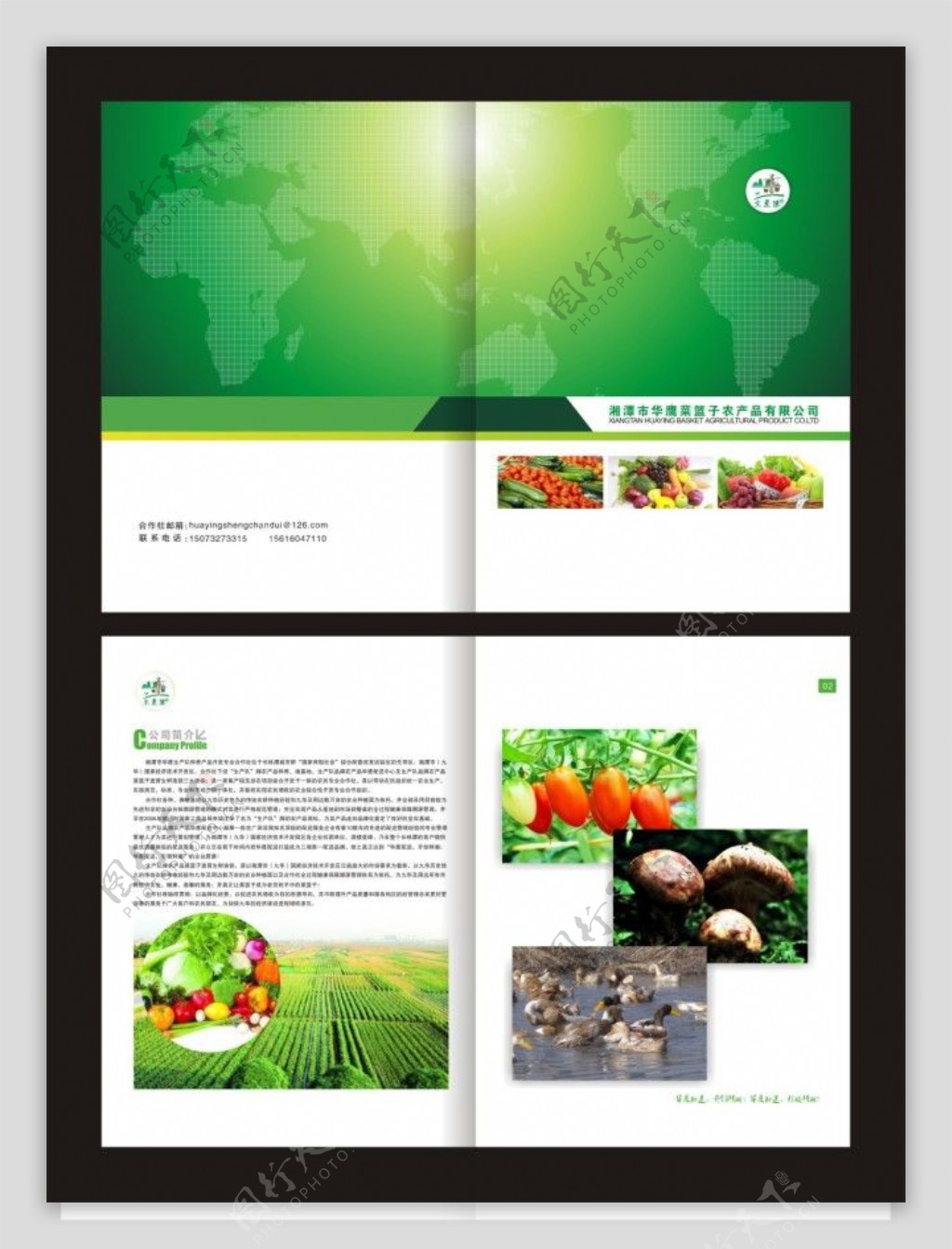 绿色环保菜篮子工程画册