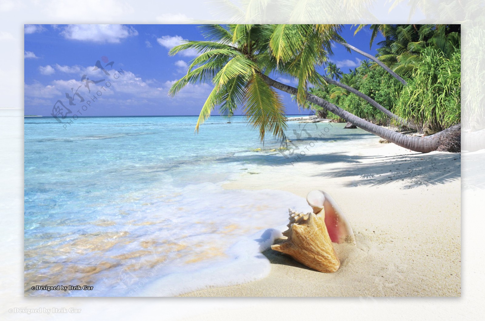 海滩椰树图片