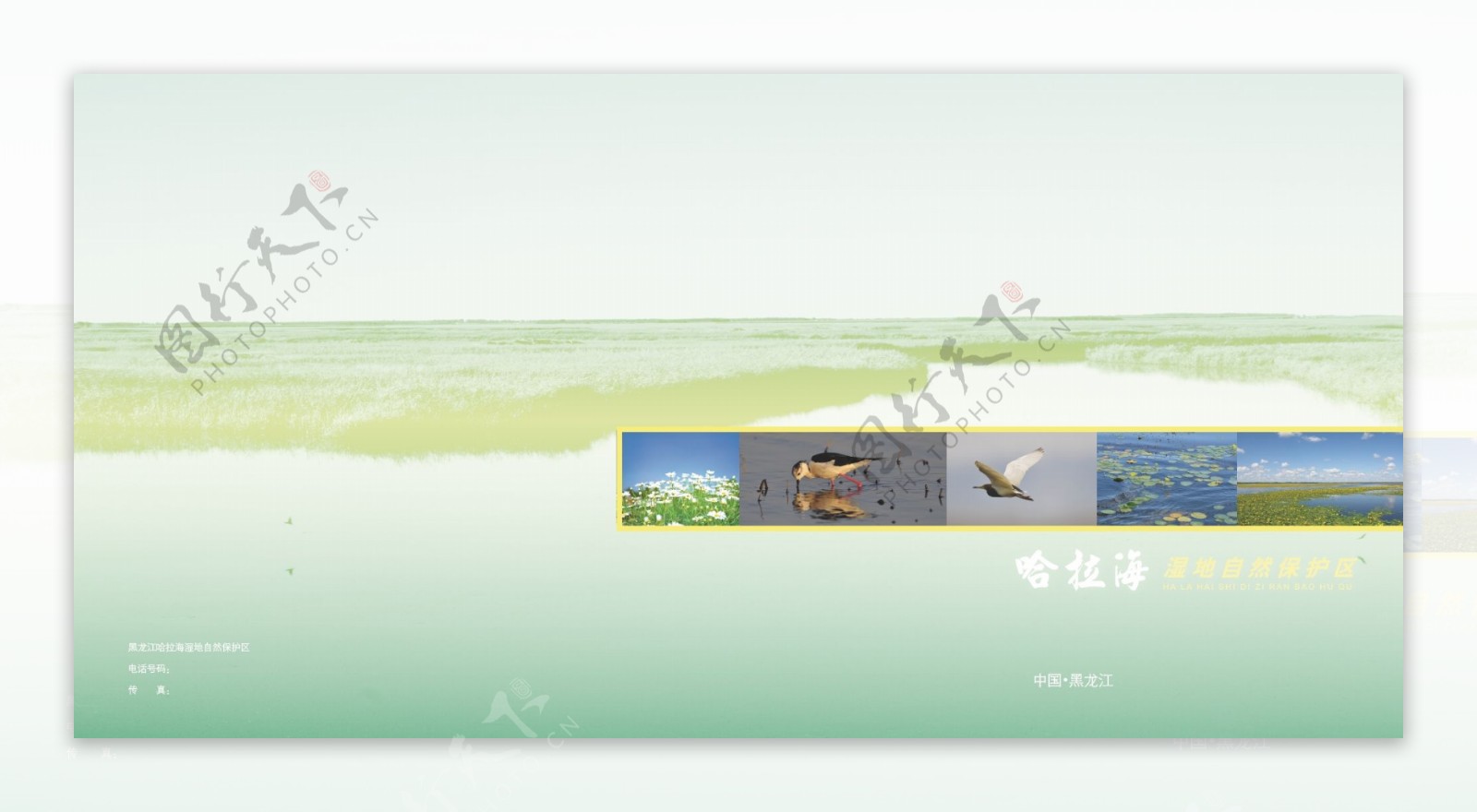 湿地画册封面平面图图片