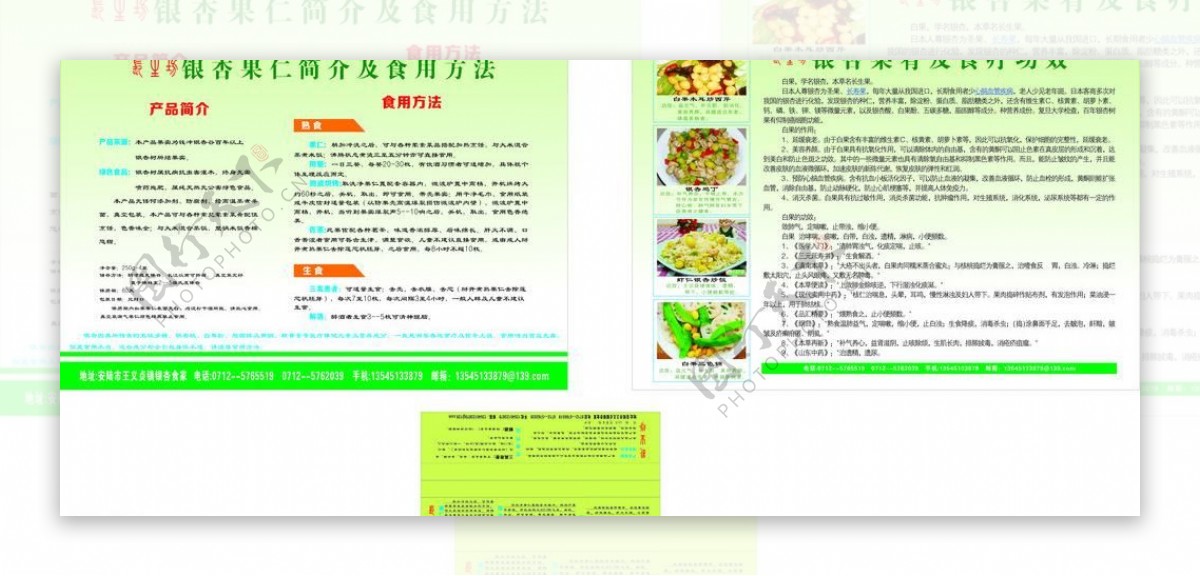 银杏食品宣传页图片
