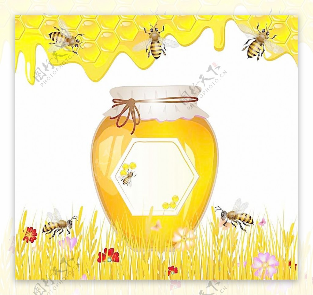 蜜蜂采蜜蜂蜜图片