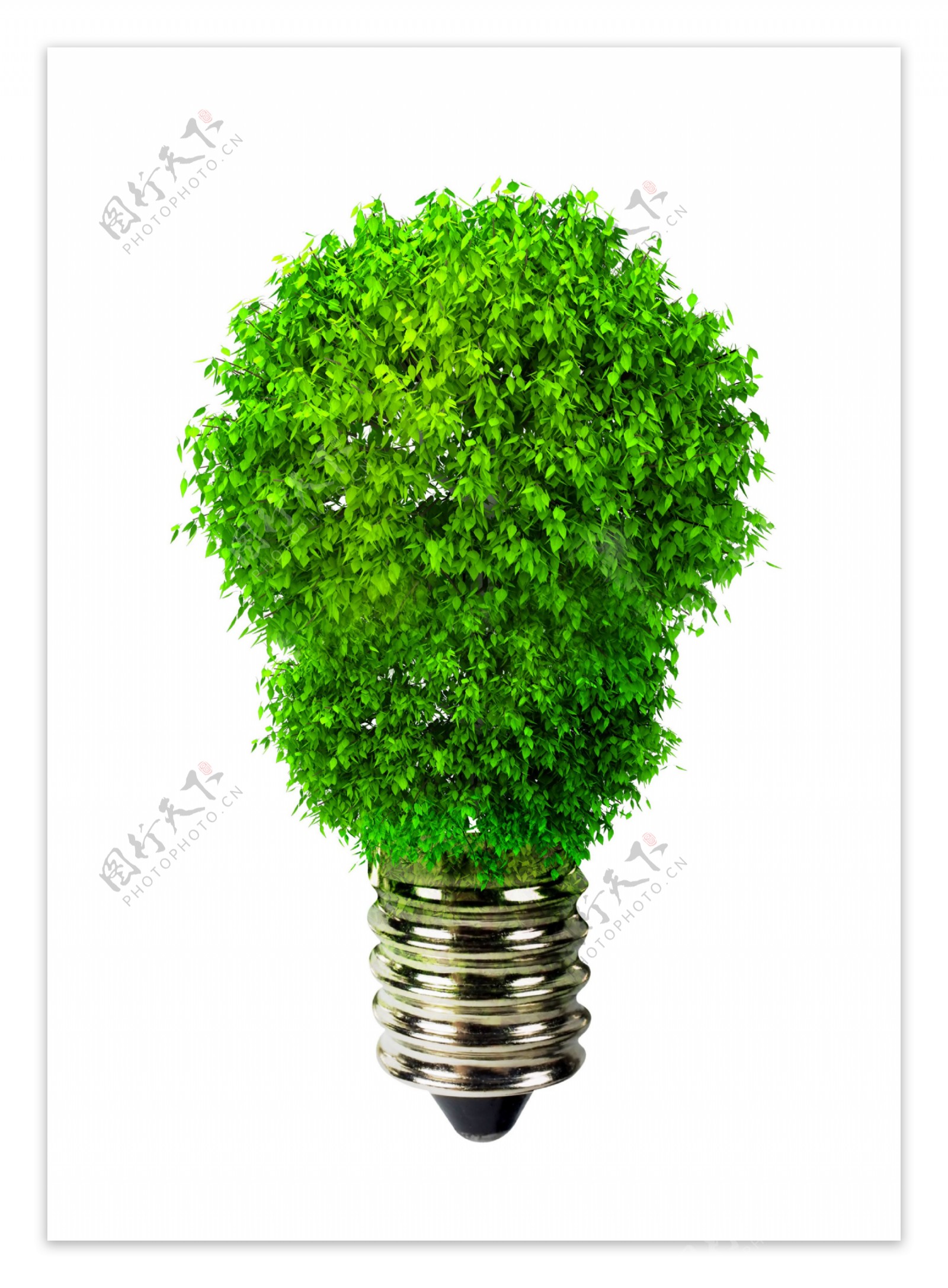 绿色环保灯泡