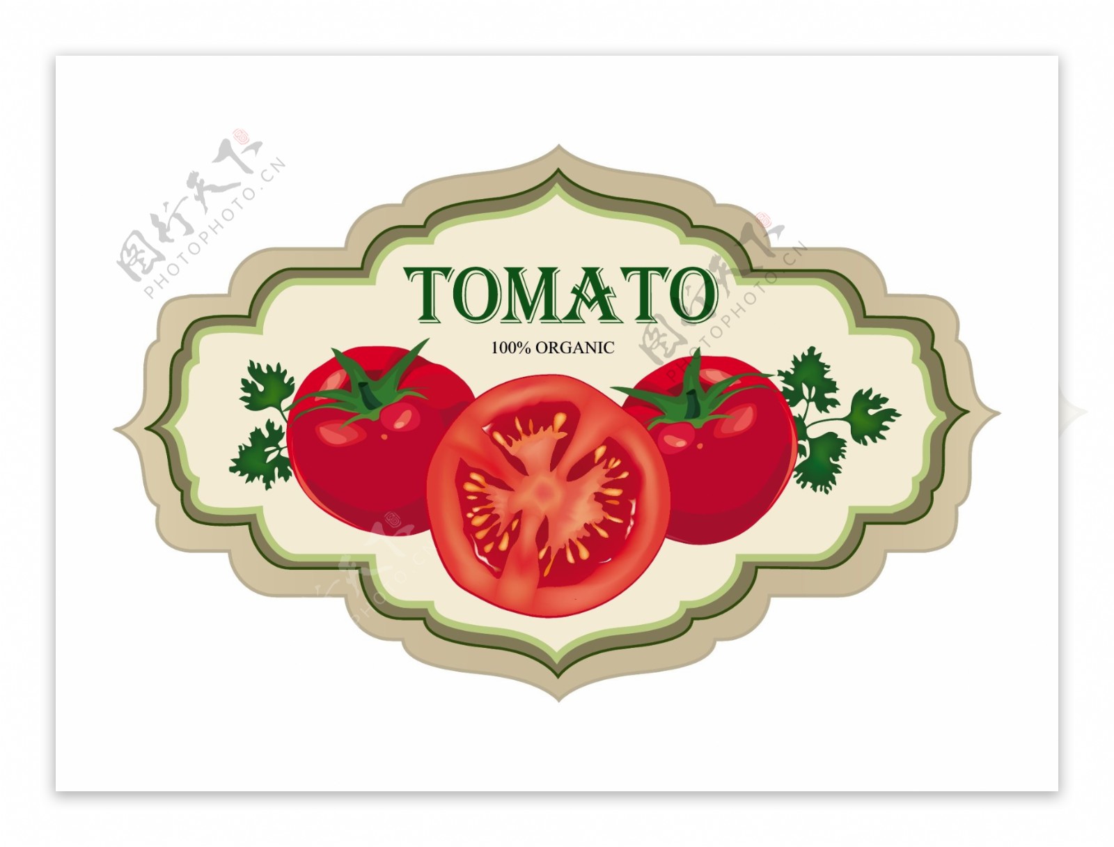 老式的番茄标签设计矢量