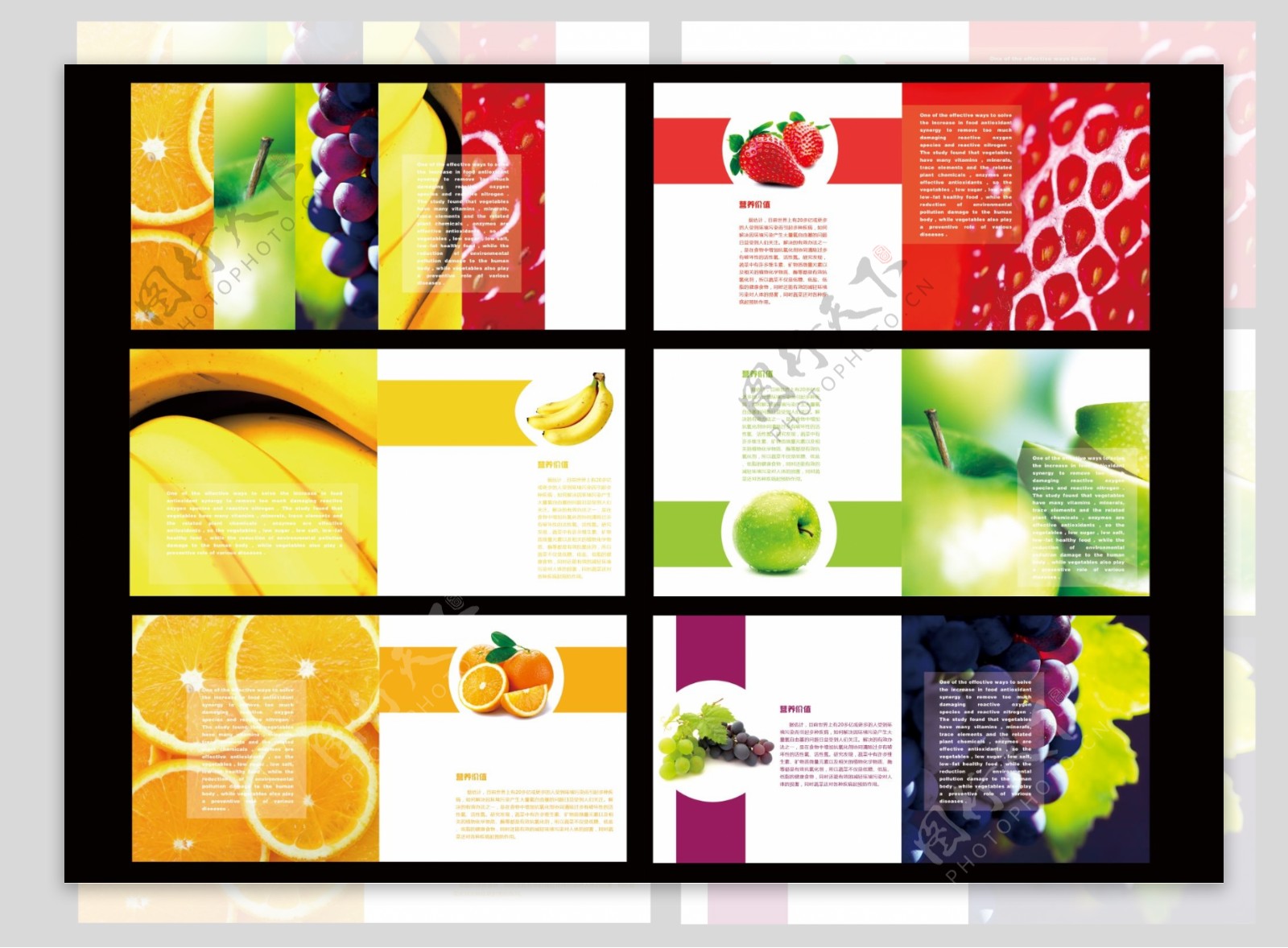 营养水果画册图片