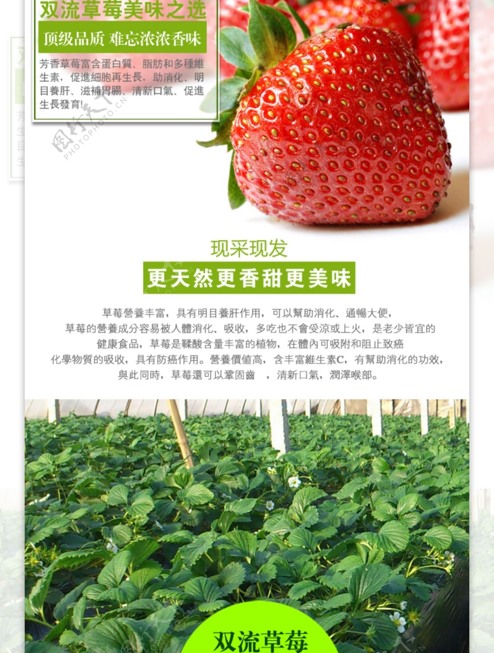 草莓淘宝详情页