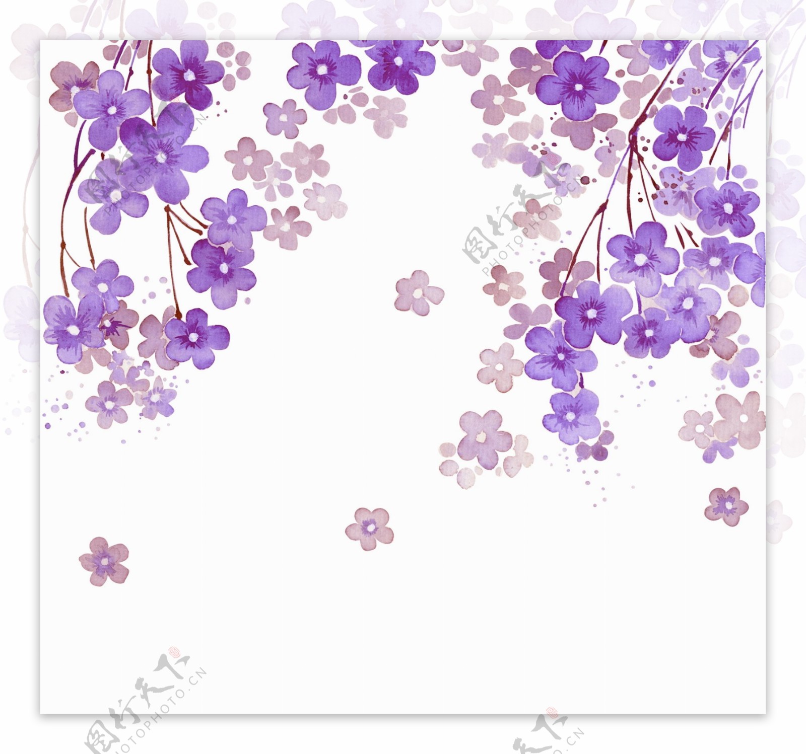 紫色唯美花