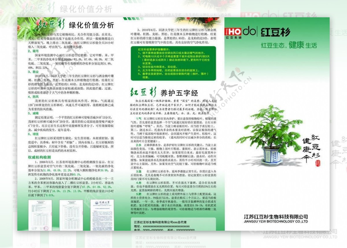 红豆杉宣传折页图片
