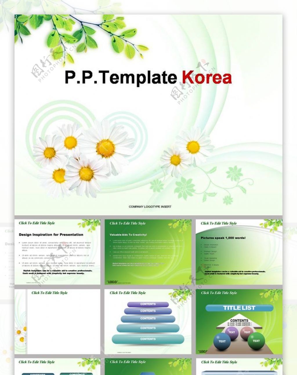 韩国淡雅树叶菊花ppt模板