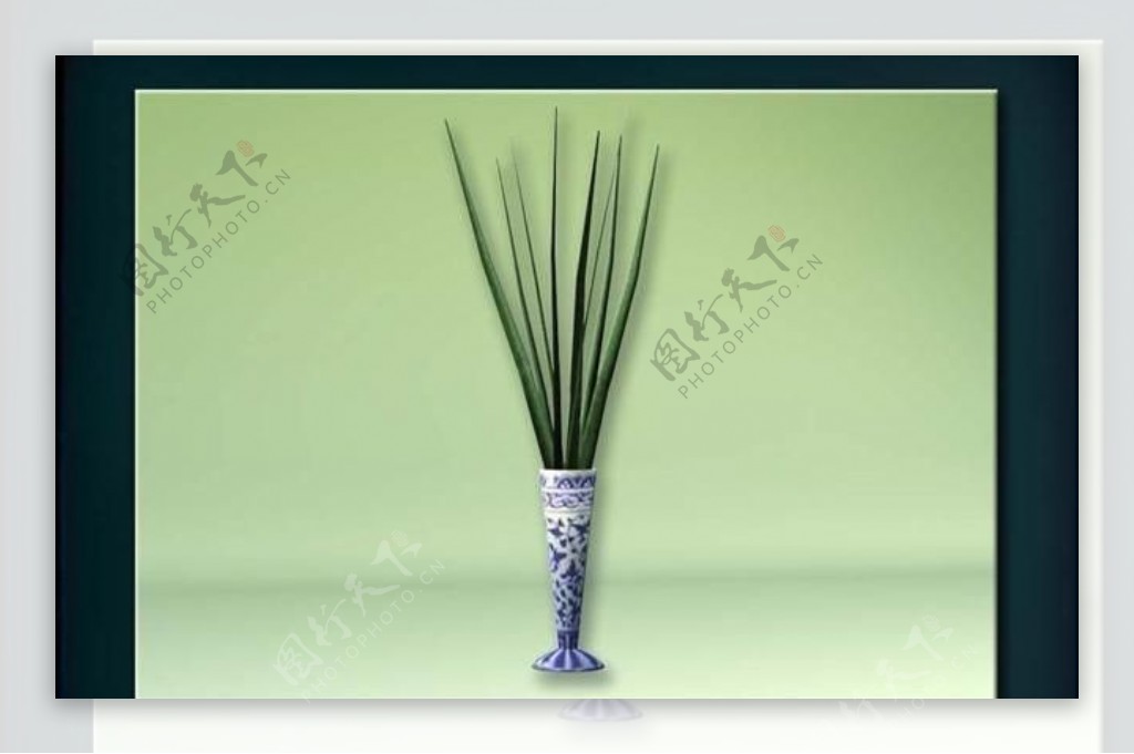 装饰构件之植物3D模型植物012