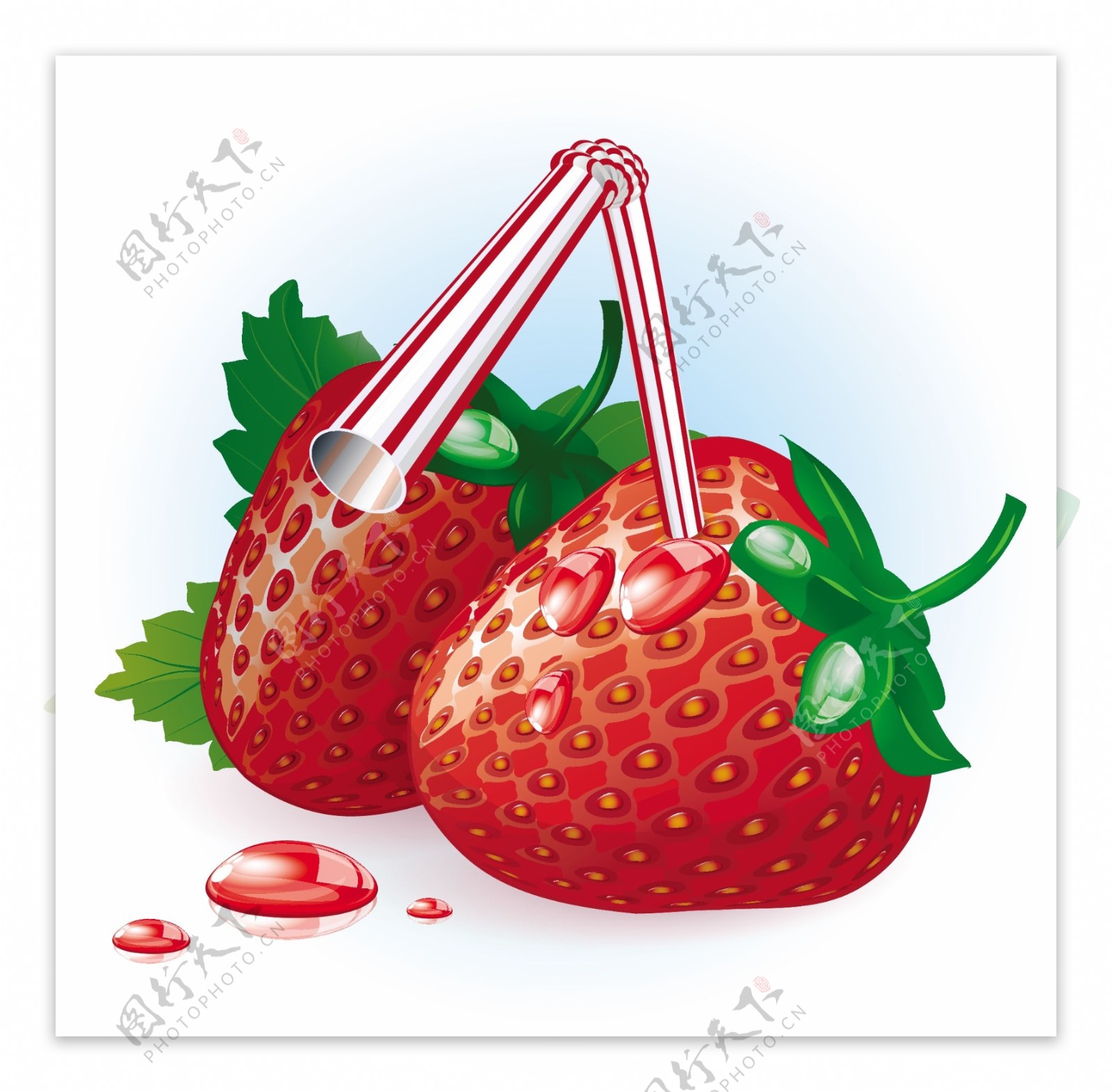 新鲜成熟的草莓果茶向量