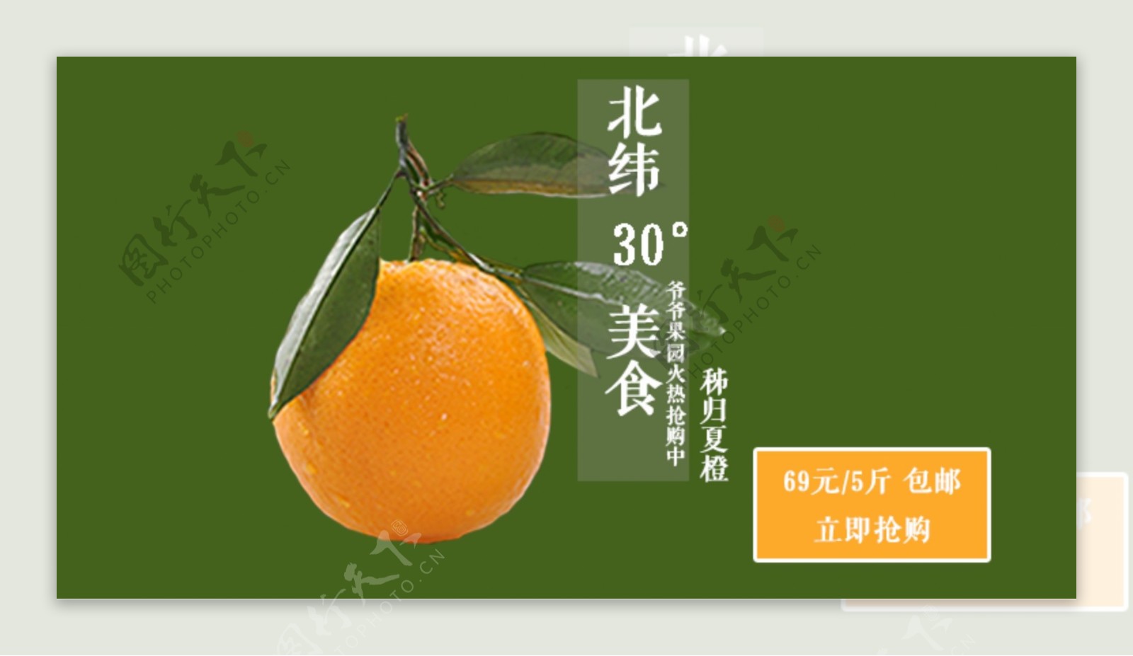 水果橙子海报图
