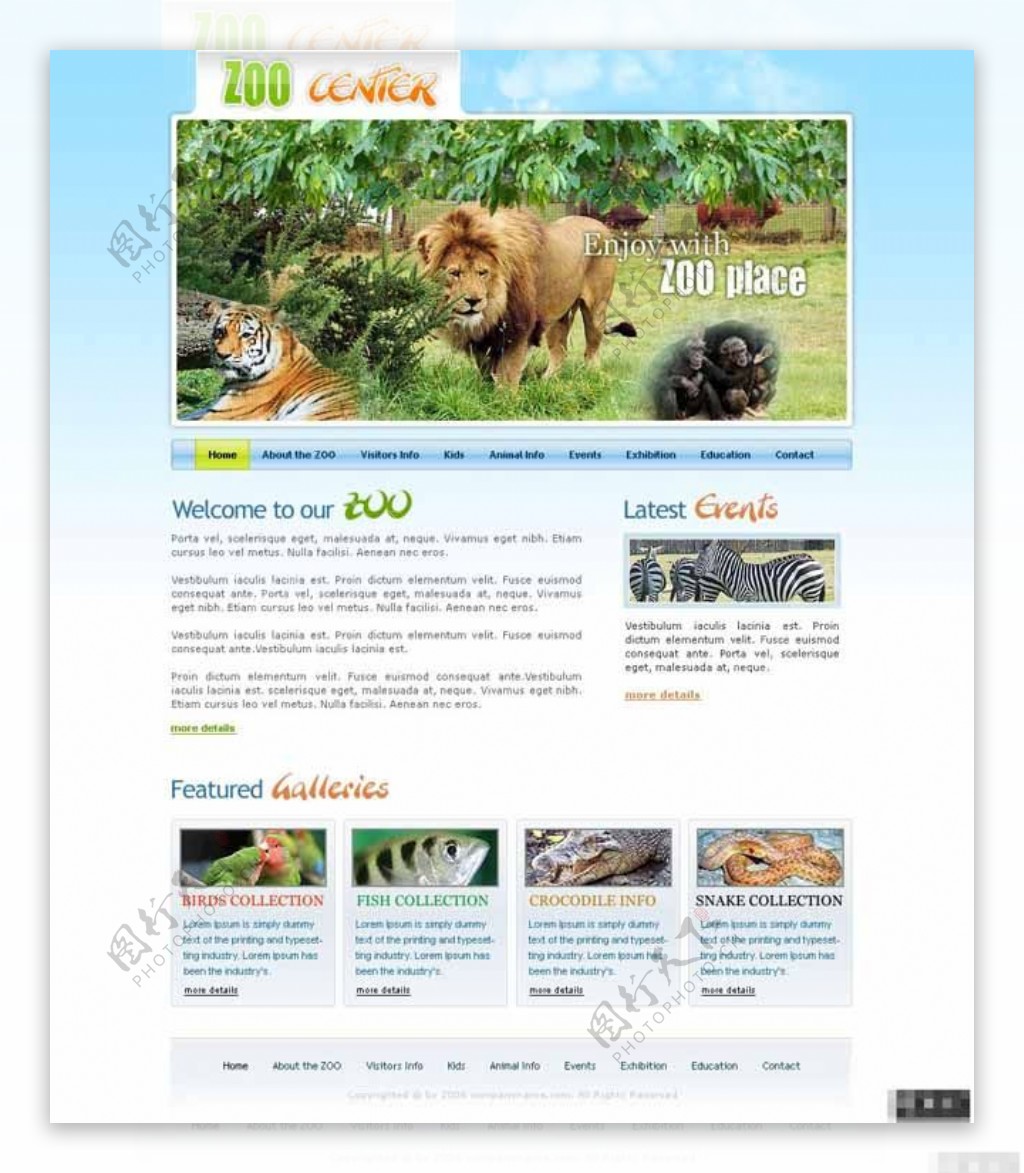 狮子老虎动物园管理网页模板
