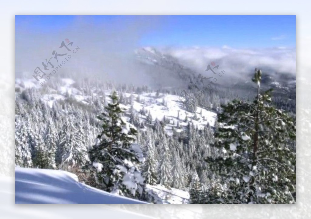 冬季雪景背景视频素材素材下载