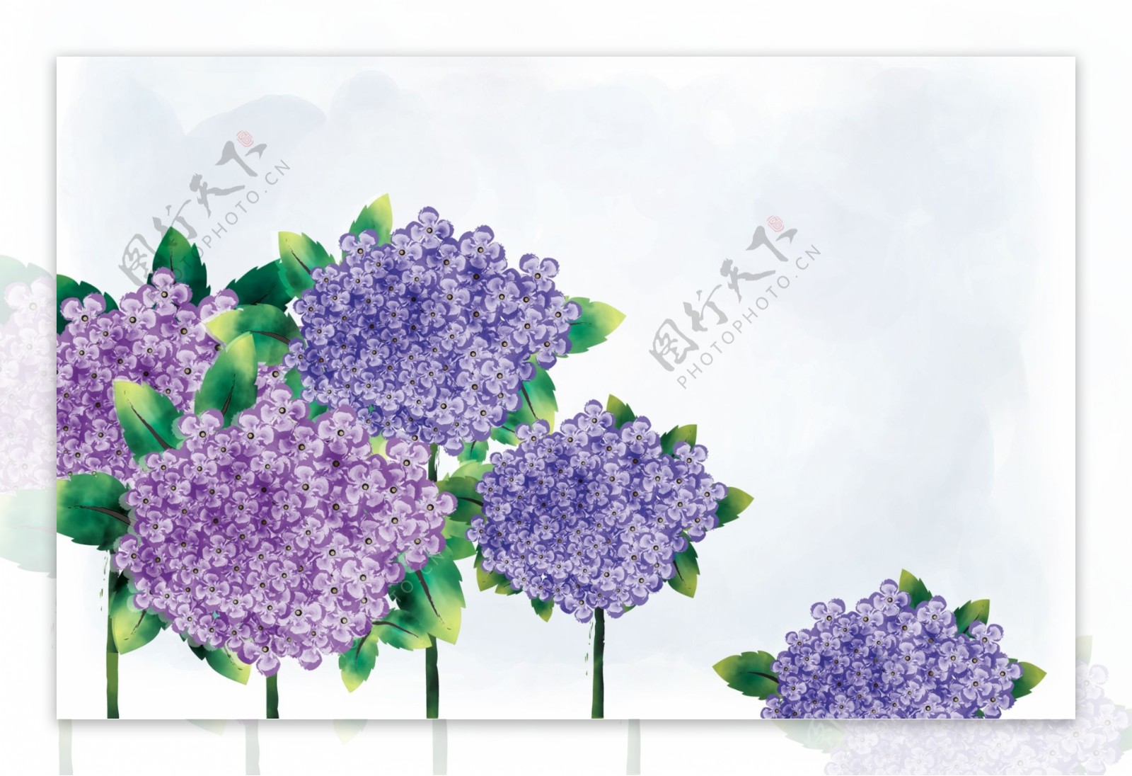 一簇紫色花