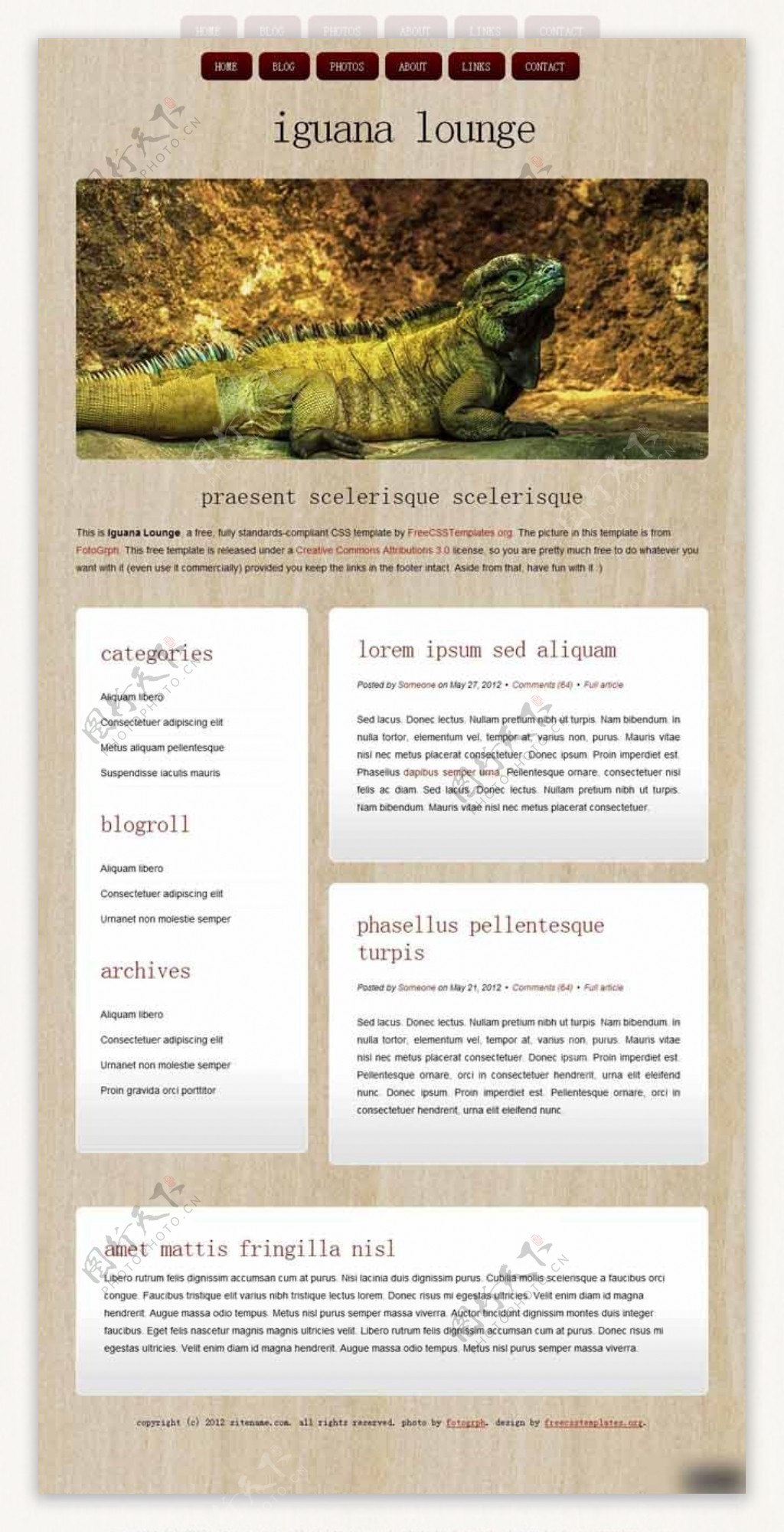 鬣蜥休息室木质背景网页模板