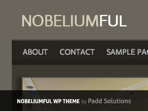 nobeliumfulWP的WordPress主题网站