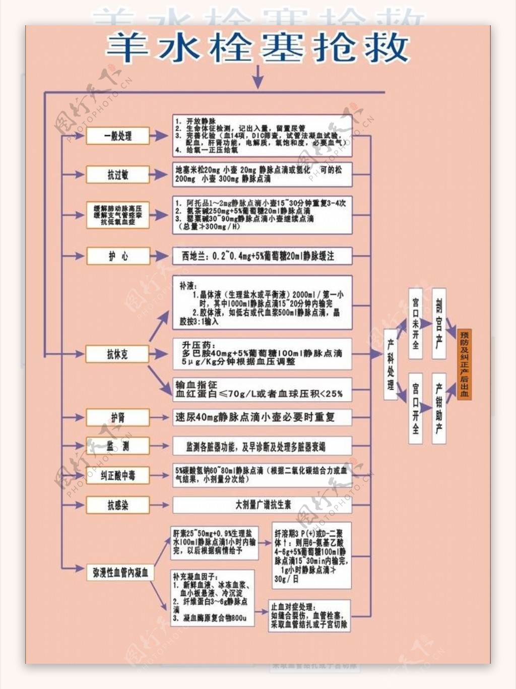 羊水栓塞抢救图片