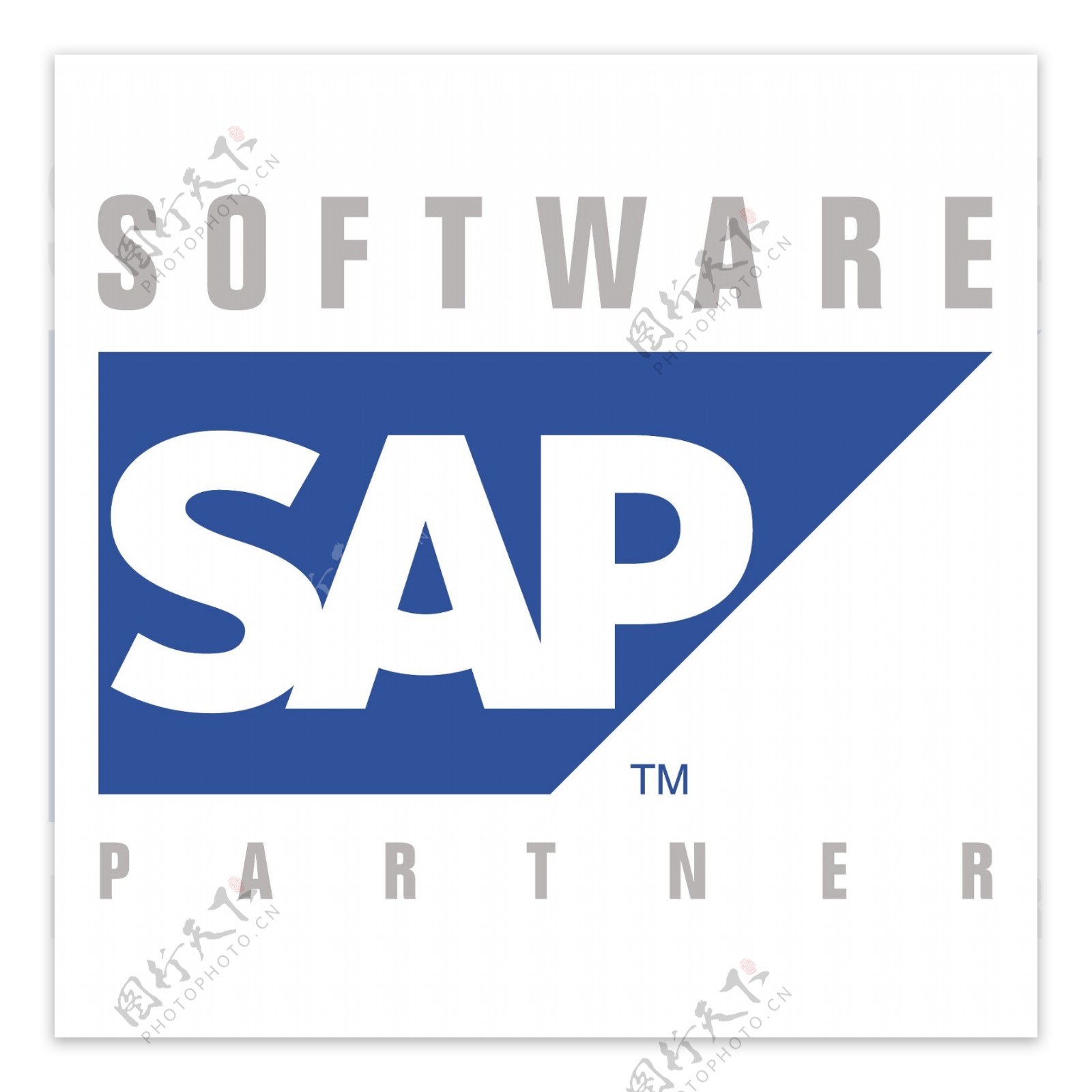 SAP软件合作伙伴