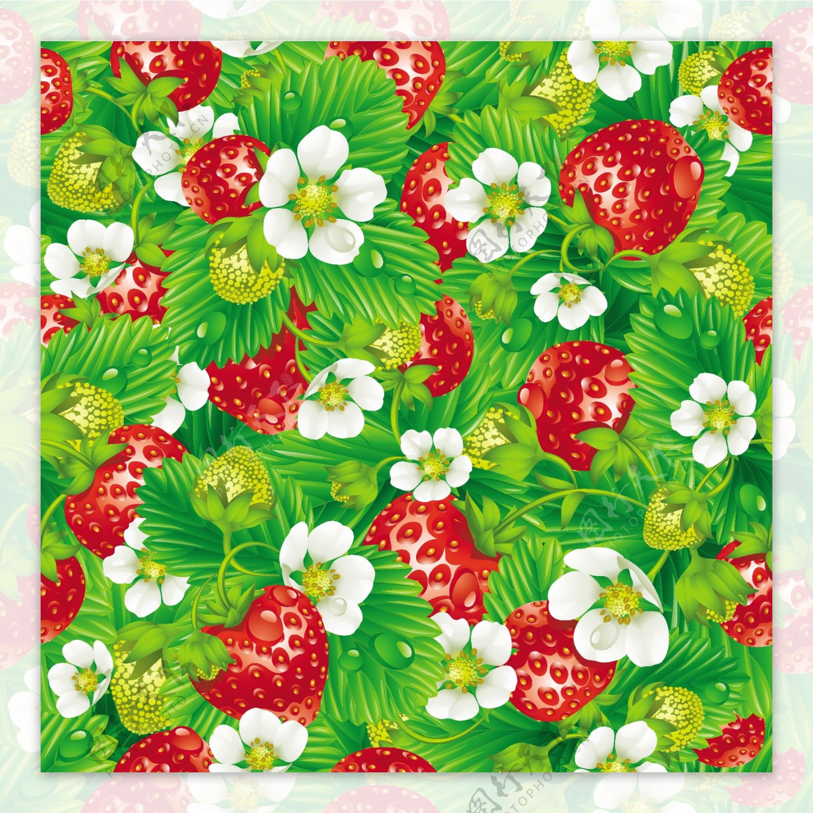 草莓葡萄水果矢量图