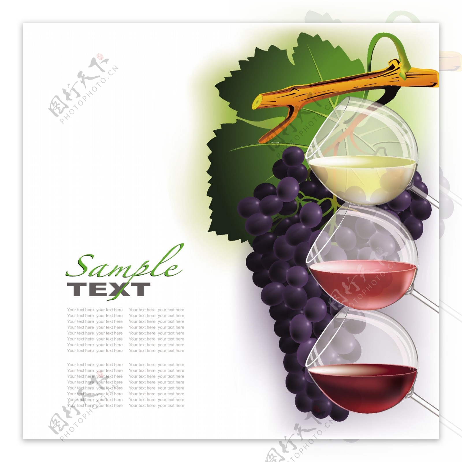 葡萄和葡萄酒矢量素材