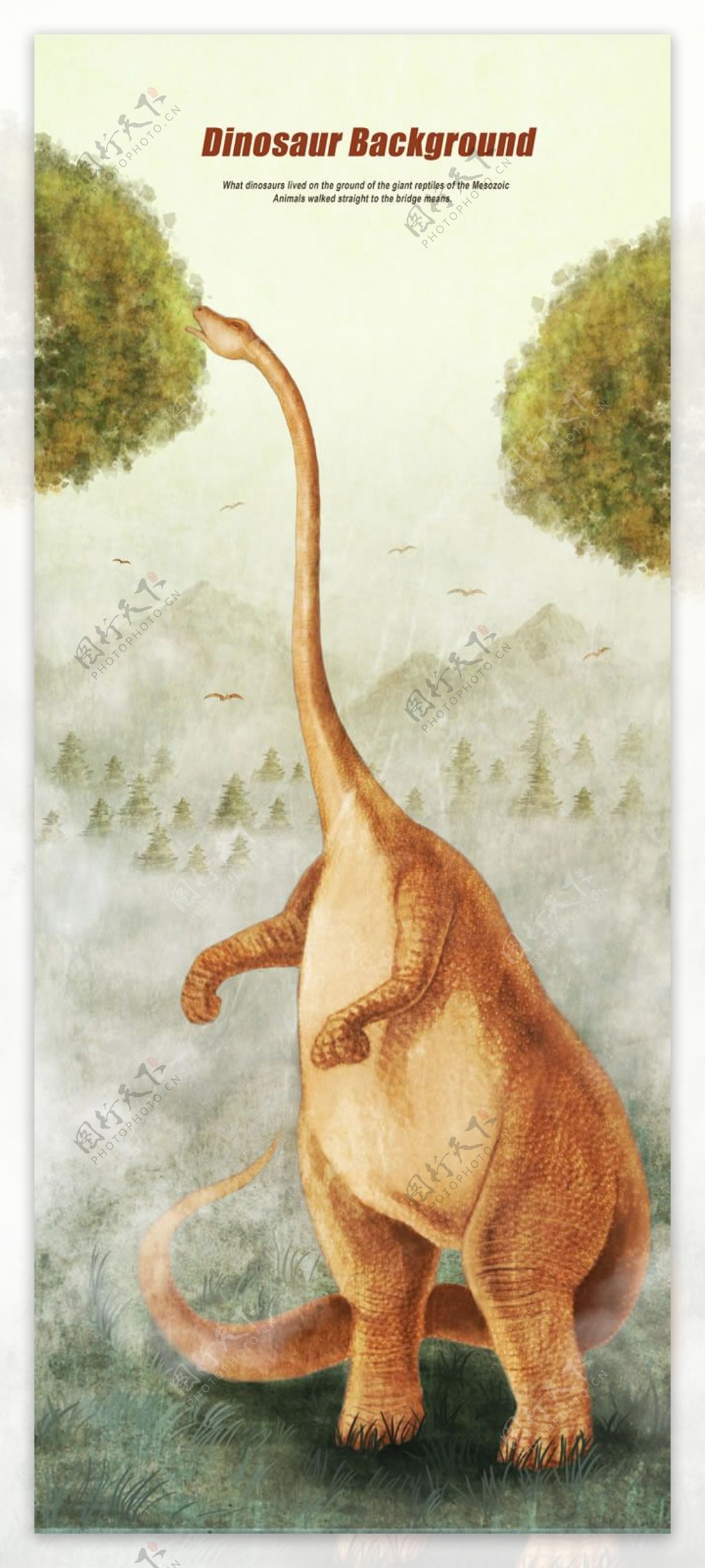 恐龙插画图片PSD素材