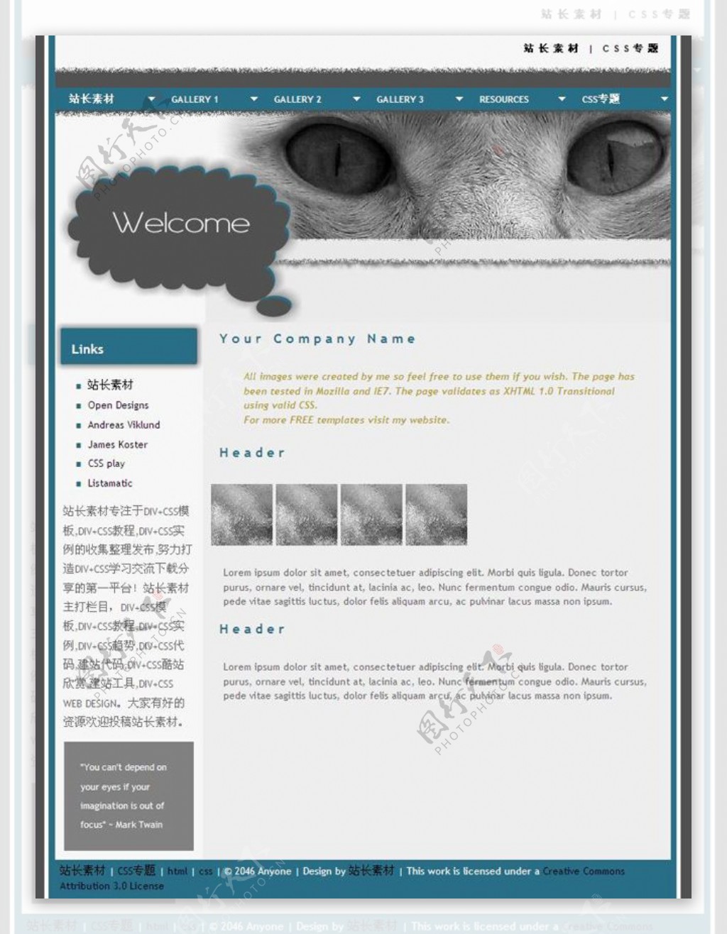 艺术猫眼cssdiv网页模板