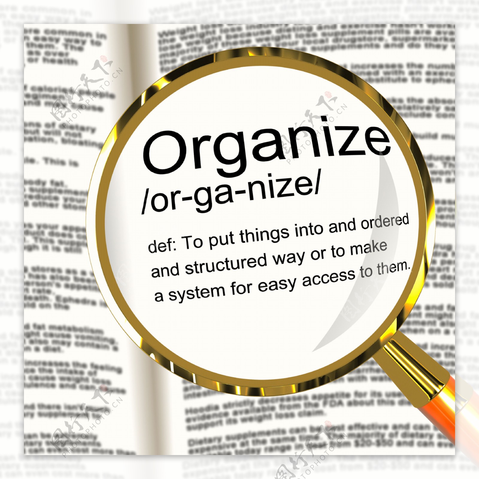 组织定义的放大镜显示管理或组织结构