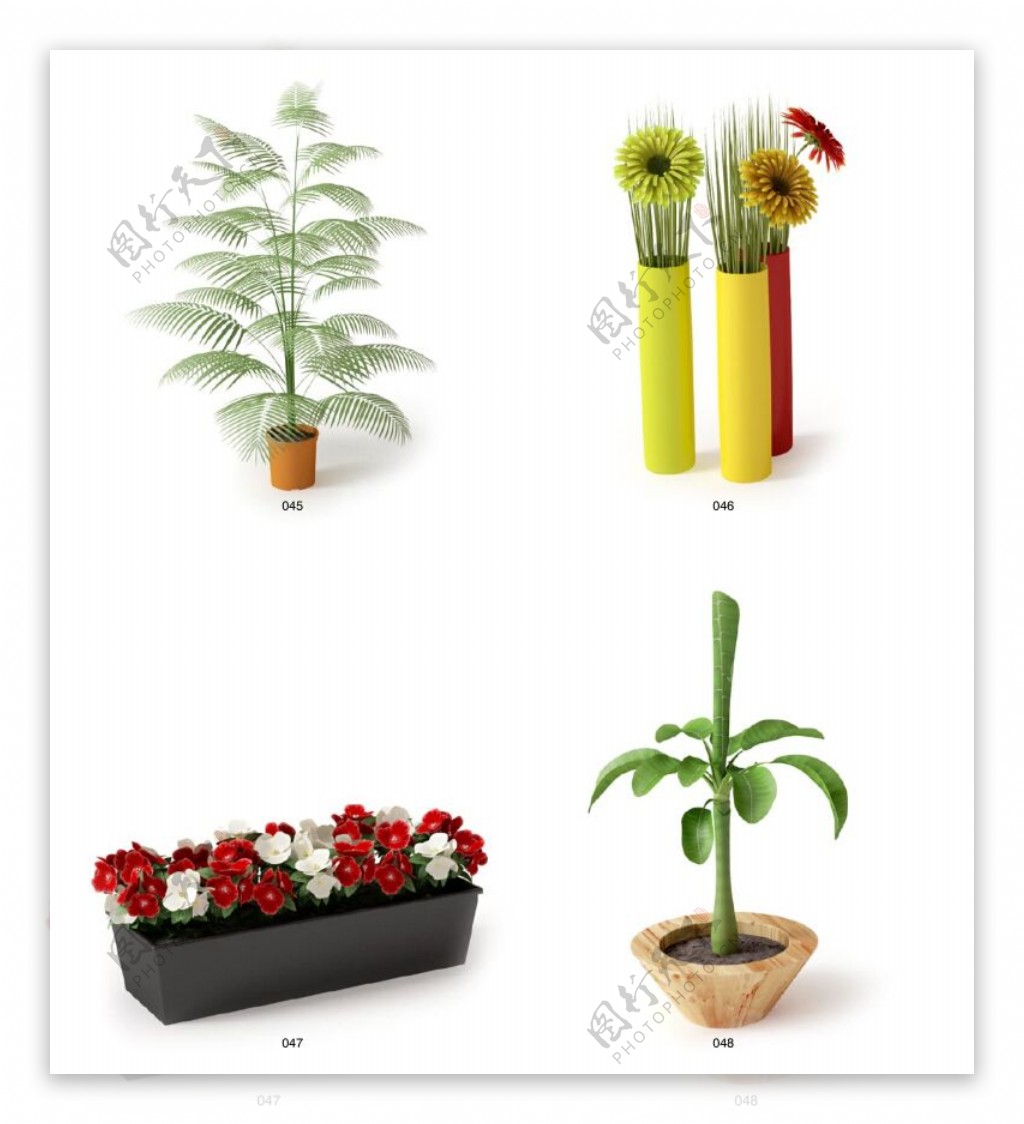小植物模型