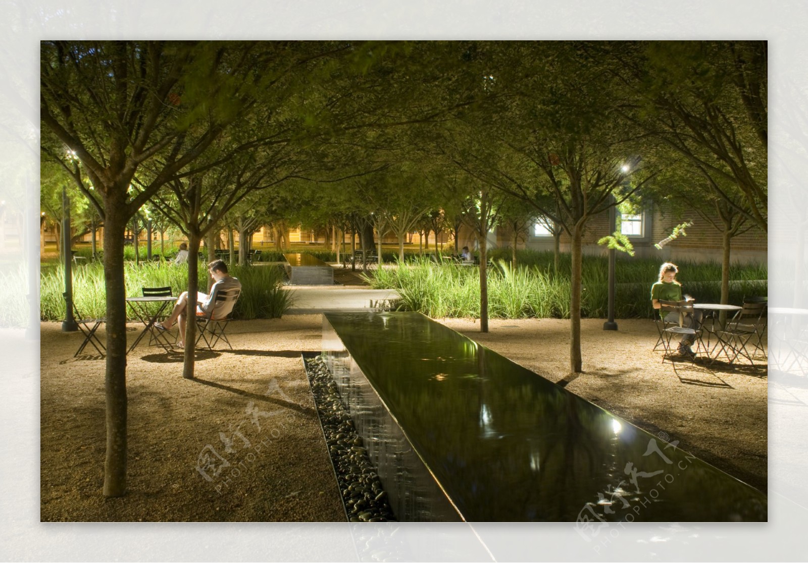 国外大学校园夜景图片