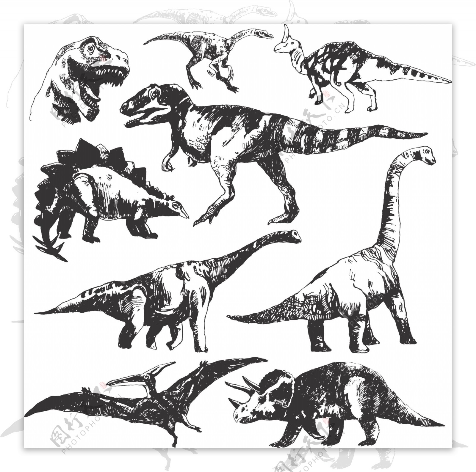 恐龙矢量素材图片