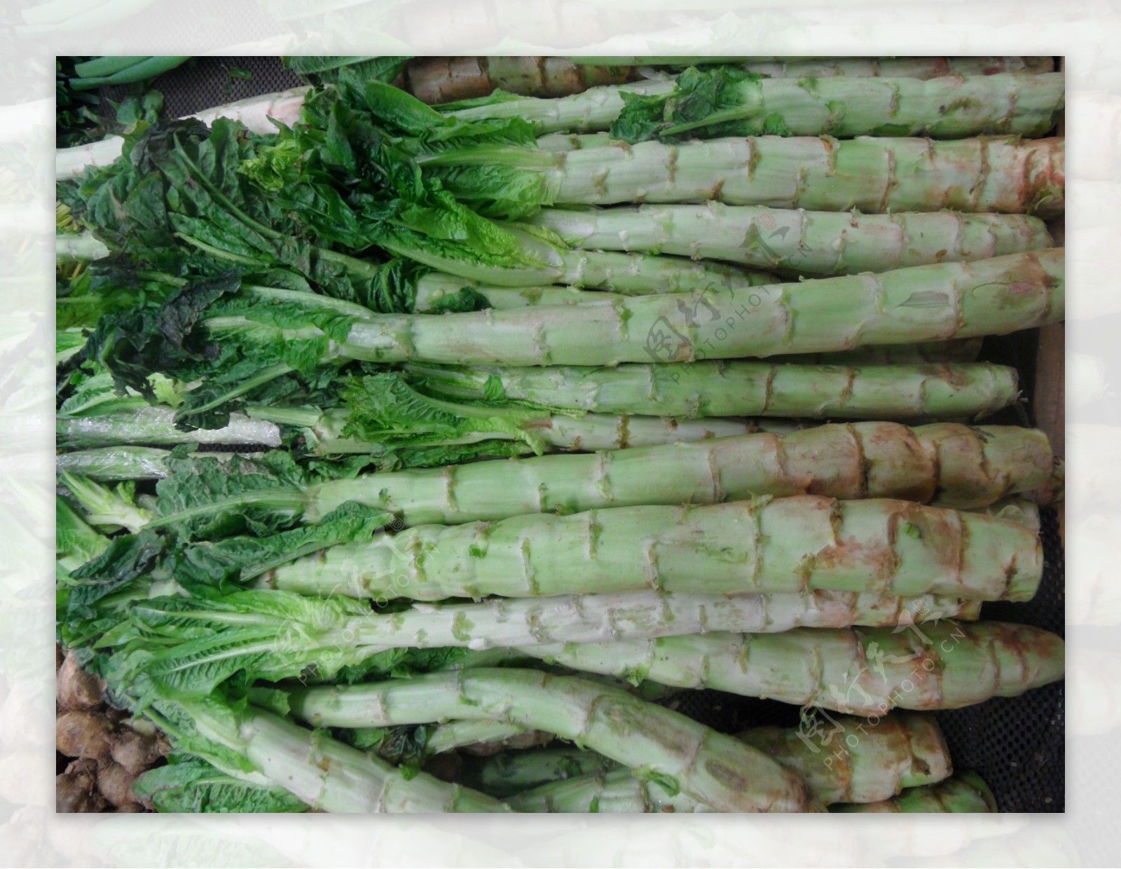 美食莴苣笋有机当季蔬菜莴苣摄影图配图高清摄影大图-千库网