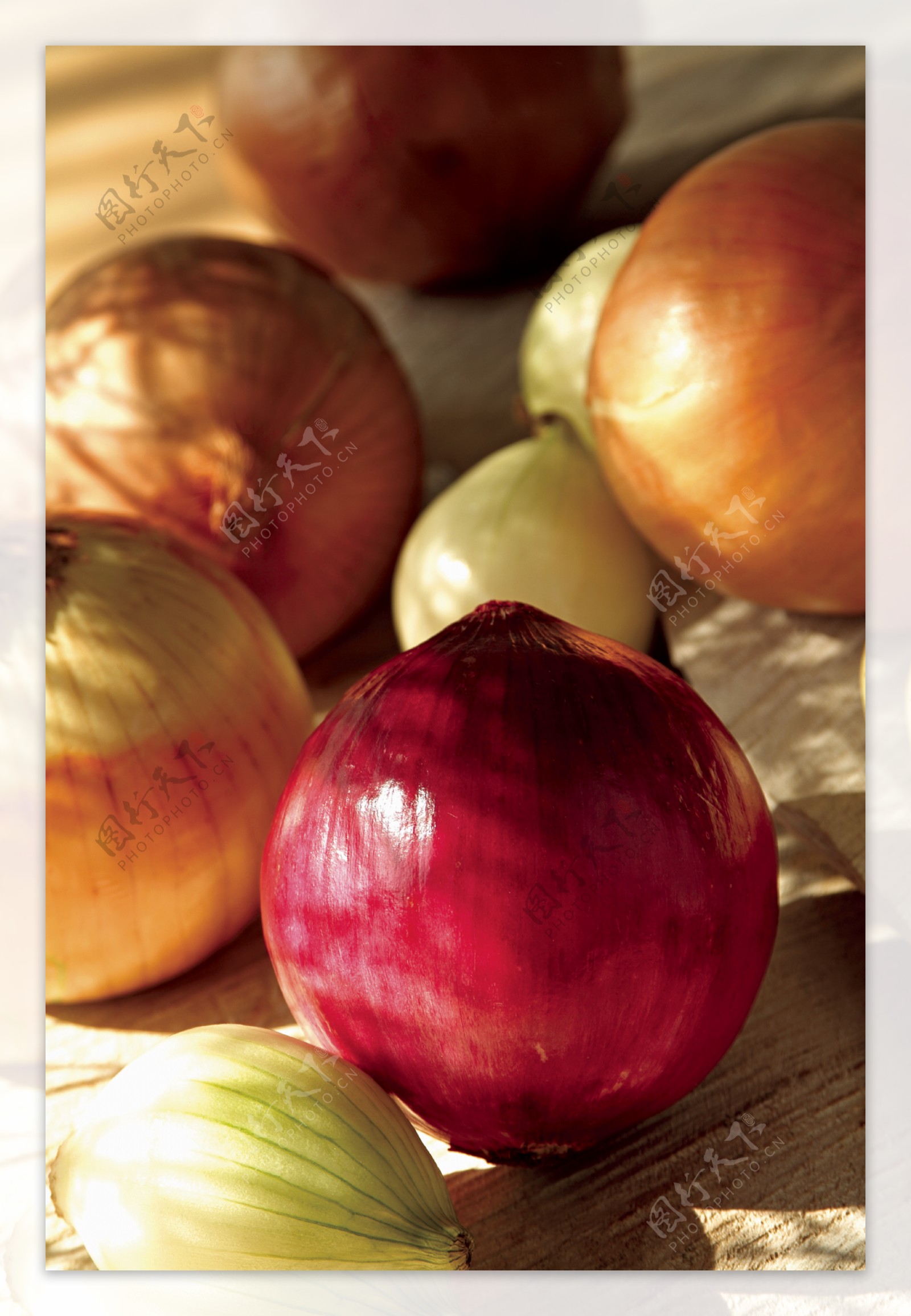 全球首席大百科什锦蔬菜新鲜健康农产品营养图片素材-编号06140760-图行天下