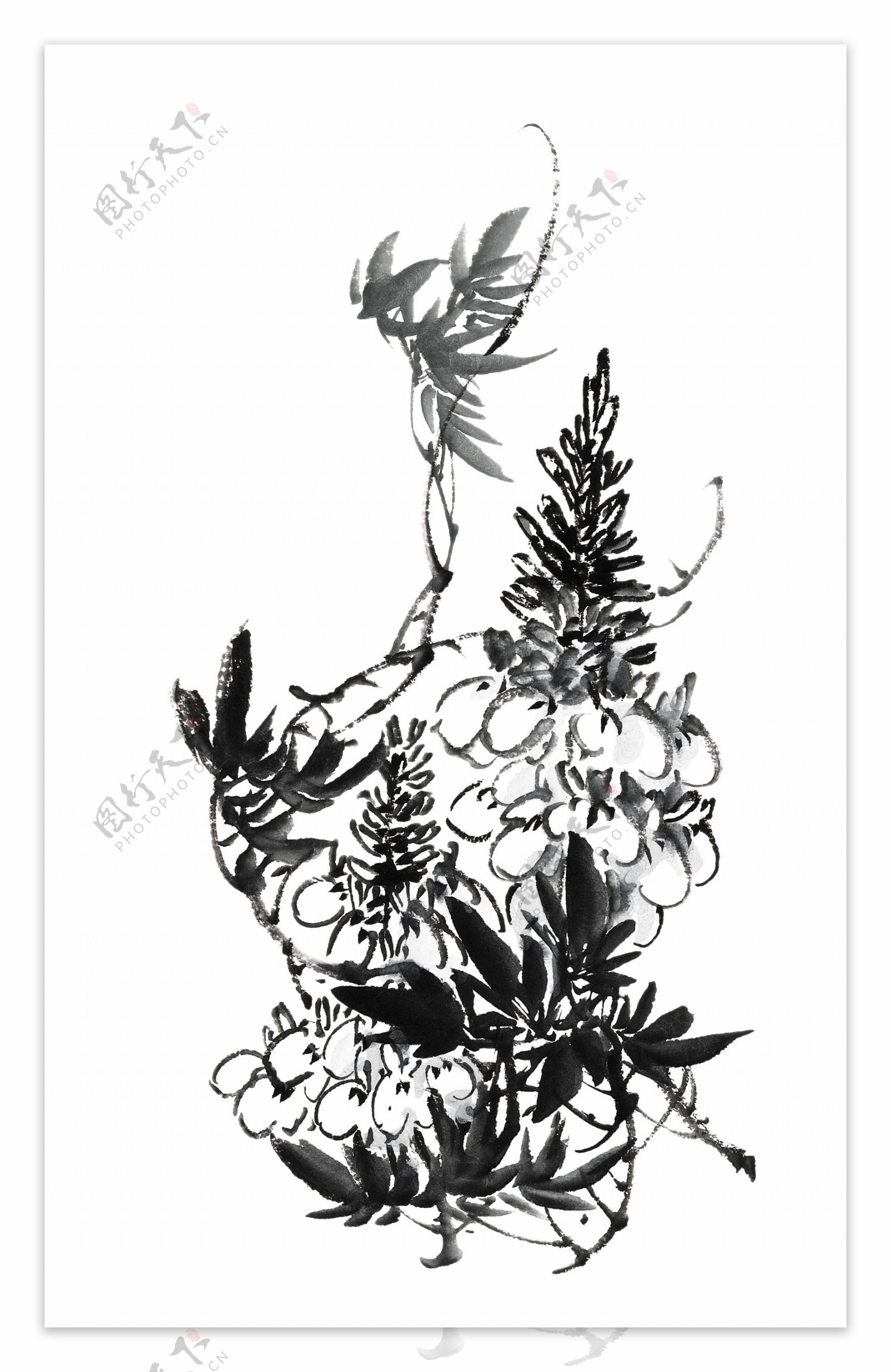 psd分层素材透明背景中国画水墨植物图片