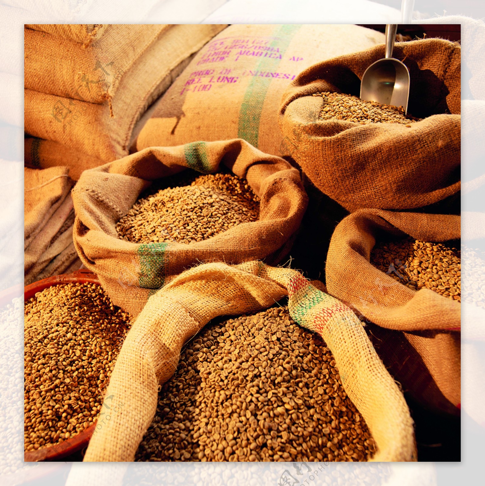 正宗待售的北美咖啡新开袋的进口咖啡豆