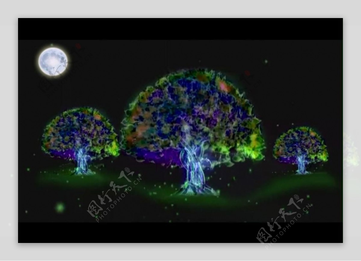 月亮荧光树视频素材图片