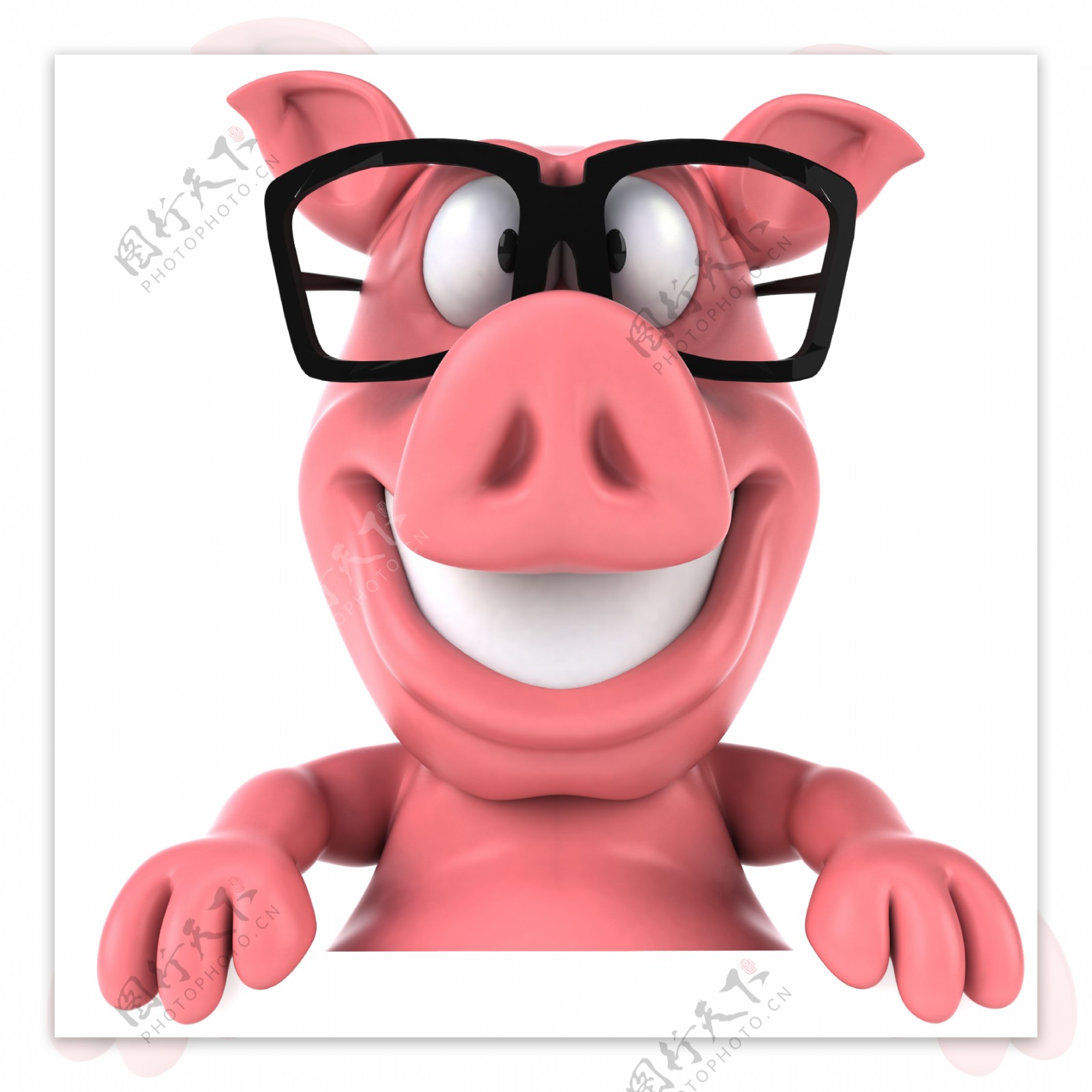 3D小猪