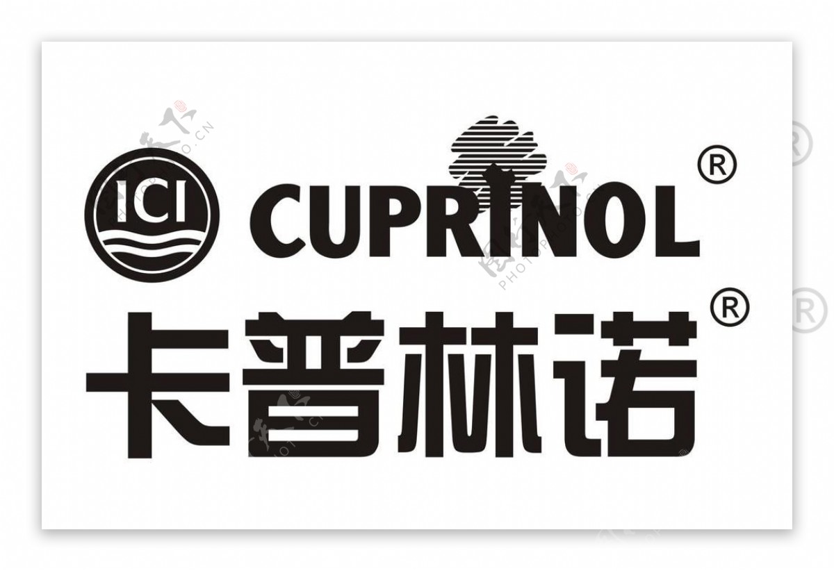 卡普林诺logo图片