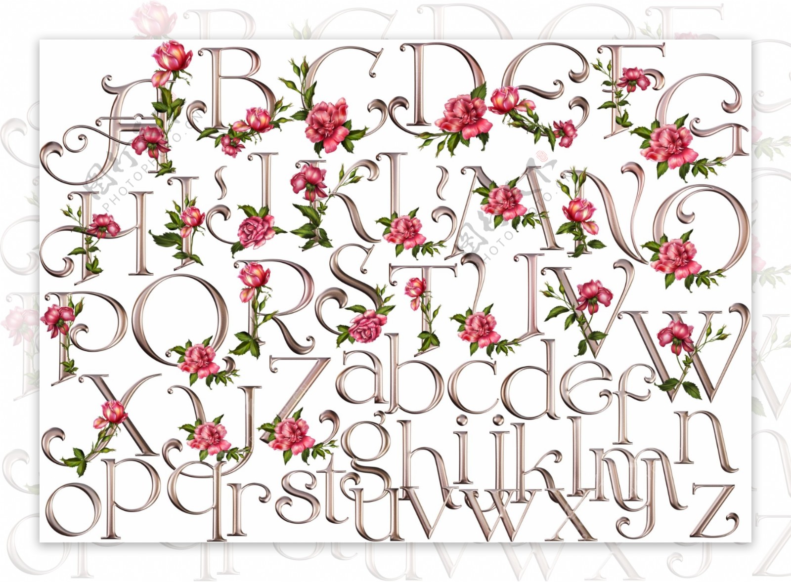 玫瑰花英文字母图片