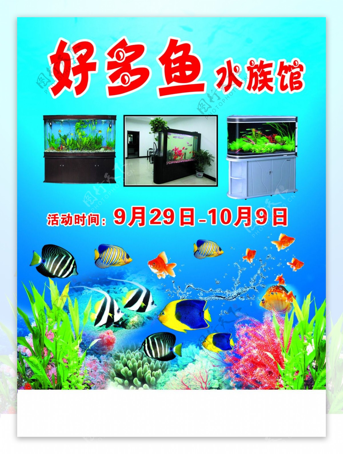 鱼缸彩页宣传单鱼
